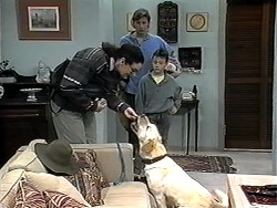 Dorothy Burke, Ryan McLachlan, Toby Mangel, Bouncer in Neighbours Episode 