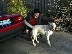 Dorothy Burke, Bouncer in Neighbours Episode 