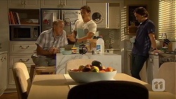 Doug Willis, Josh Willis, Brad Willis in Neighbours Episode 6876