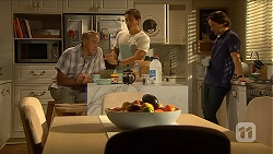 Doug Willis, Josh Willis, Brad Willis in Neighbours Episode 