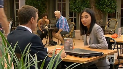 Paul Robinson, Tracey Wong in Neighbours Episode 6882