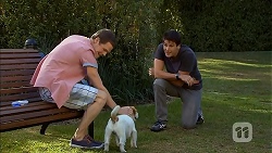 Will Dampier, Napoleon, Chris Pappas in Neighbours Episode 6897