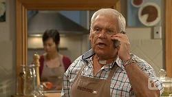 Lou Carpenter in Neighbours Episode 