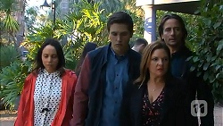 Imogen Willis, Josh Willis, Terese Willis, Brad Willis in Neighbours Episode 6978