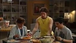 Susan Kennedy, Dylan Timmins, Stingray Timmins in Neighbours Episode 4661