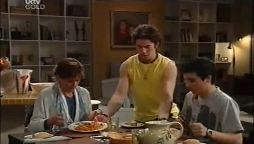 Susan Kennedy, Dylan Timmins, Stingray Timmins in Neighbours Episode 