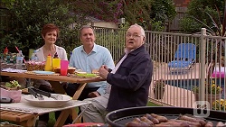 Susan Kennedy, Karl Kennedy, Harold Bishop in Neighbours Episode 7063