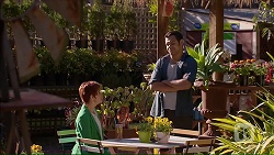 Susan Kennedy, Nate Kinski in Neighbours Episode 7064