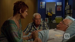 Susan Kennedy, Lou Carpenter, Harold Bishop in Neighbours Episode 7074