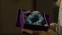 in Neighbours Episode 7082