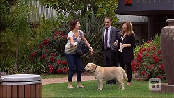 Naomi Canning, Paul Robinson, Terese Willis, Bouncer II in Neighbours Episode 