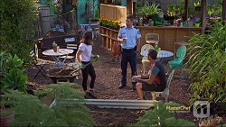 Imogen Willis, Mark Brennan, Nate Kinski in Neighbours Episode 7118