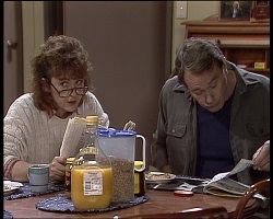 Pam Willis, Doug Willis in Neighbours Episode 