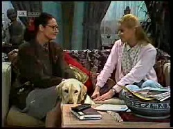 Dorothy Burke, Bouncer, Phoebe Bright in Neighbours Episode 1720