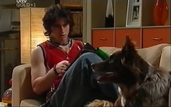 Dylan Timmins, Harvey in Neighbours Episode 4701