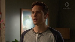 Josh Willis in Neighbours Episode 