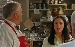 Harold Bishop, Gabrielle Walker, Lou Carpenter in Neighbours Episode 4703