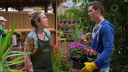 Sonya Rebecchi, Josh Willis in Neighbours Episode 7222