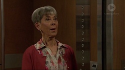 Hilary Robinson in Neighbours Episode 