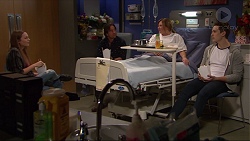 Piper Willis, Brad Willis, Terese Willis, Josh Willis in Neighbours Episode 