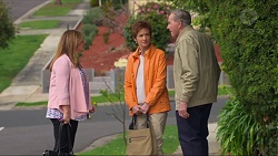 Terese Willis, Susan Kennedy, Doug Willis in Neighbours Episode 