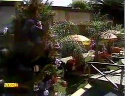  in Neighbours Episode 0870