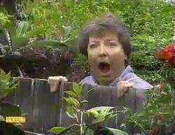 Edith Chubb in Neighbours Episode 