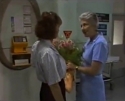 Pam Willis, Nurse Brabham in Neighbours Episode 