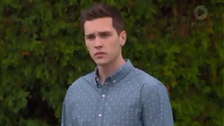 Josh Willis in Neighbours Episode 7275