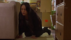 Michelle Kim in Neighbours Episode 7277