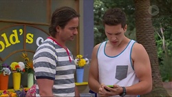 Brad Willis, Josh Willis in Neighbours Episode 