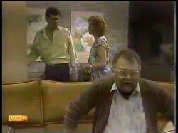 Des Clarke, Madge Bishop, Harold Bishop in Neighbours Episode 