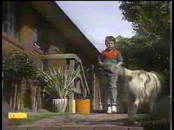 Toby Mangel, Bouncer in Neighbours Episode 0867