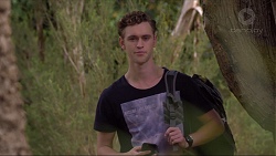 Brodie Chaswick in Neighbours Episode 7371