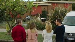 Toadie Rebecchi, Sonya Rebecchi, Steph Scully, Mark Brennan in Neighbours Episode 