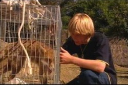 Boyd Hoyland, Roxy in Neighbours Episode 4050