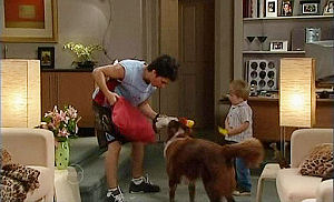 Stingray Timmins, Harvey, Oscar Scully in Neighbours Episode 