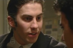 Dylan Timmins, Stingray Timmins in Neighbours Episode 