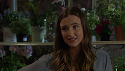 Amy Williams in Neighbours Episode 7447