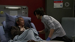 Bradley Satchwell, David Tanaka in Neighbours Episode 