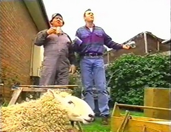 Jock Finch, Karl Kennedy, Casserole the sheep in Neighbours Episode 