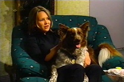 Steph Scully, Harvey in Neighbours Episode 