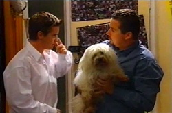 Tad Reeves, Toadie Rebecchi, Bob in Neighbours Episode 