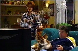 Lyn Scully, Harvey, Joe Scully in Neighbours Episode 