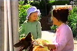 Emily Hancock, Lyn Scully, Harvey in Neighbours Episode 3753