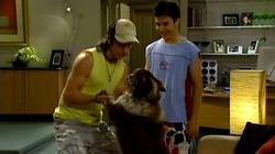 Dylan Timmins, Stingray Timmins, Harvey in Neighbours Episode 4738