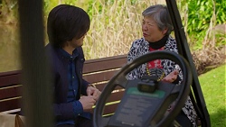 David Tanaka, Kazuko Sano in Neighbours Episode 7498