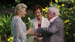 Kathy Carpenter, Susan Kennedy, Lou Carpenter in Neighbours Episode 