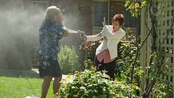 Sheila Canning, Susan Kennedy in Neighbours Episode 7527