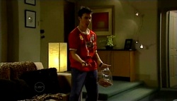 Stingray Timmins in Neighbours Episode 